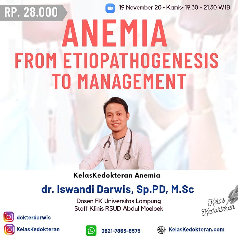 Anemia From Etiopatoghenesis To Management